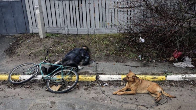 Chien près de son maître