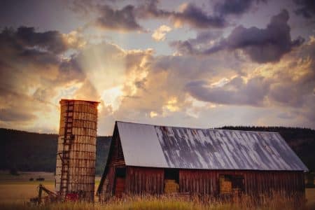 Ferme