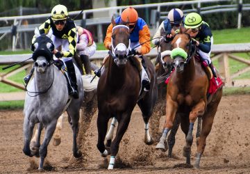 Grand National 2022 deux chevaux décèdent pendant la course !