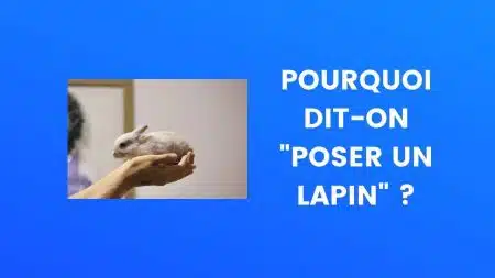 Lapin