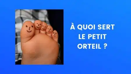 Orteil