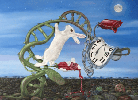 Test de personnalité lapin blanc