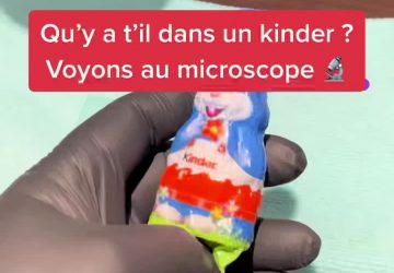 kinder microscope