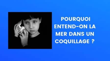 le saviez vous coquillage