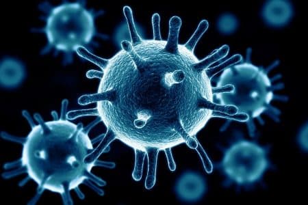 nouveau variant covid virus shanghai