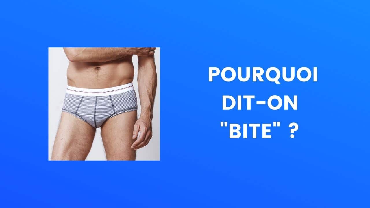 pourquoi la bite