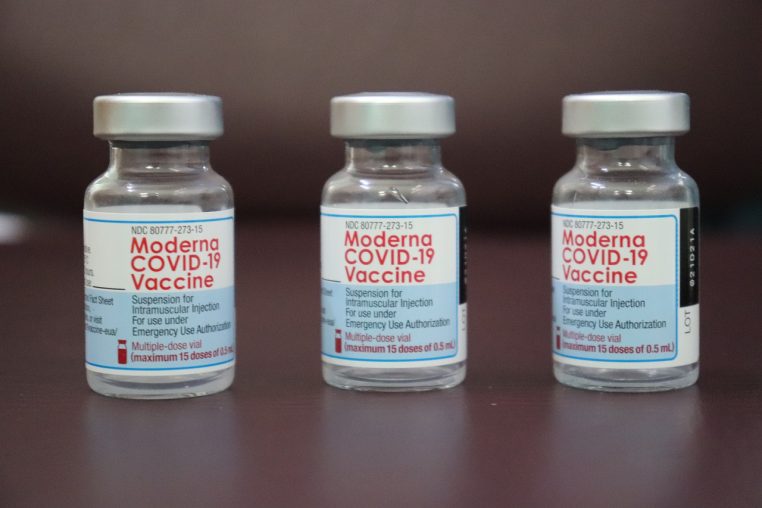 Covid-19 : des millions de vaccin Moderna rappelés après la découverte d'un moustique