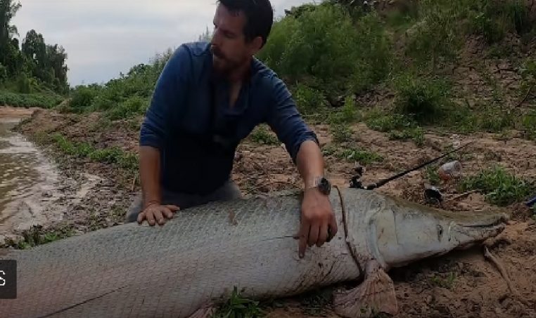 Au Texas, ce Youtubeur a pêché un garpique alligator aux mensurations exceptionnelles !