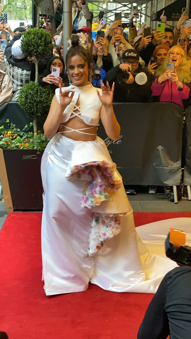 Camila Cabello Met Gala