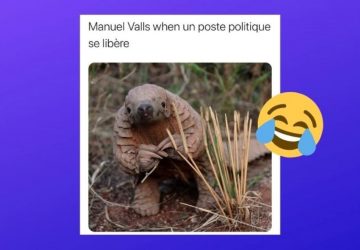 Manuel Valls mème