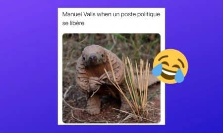 Manuel Valls mème