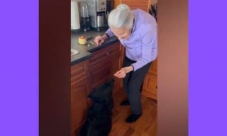 Nanny et Cooper