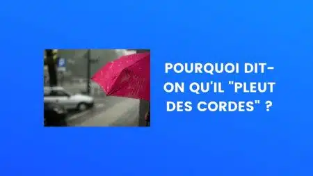Pleut des cordes