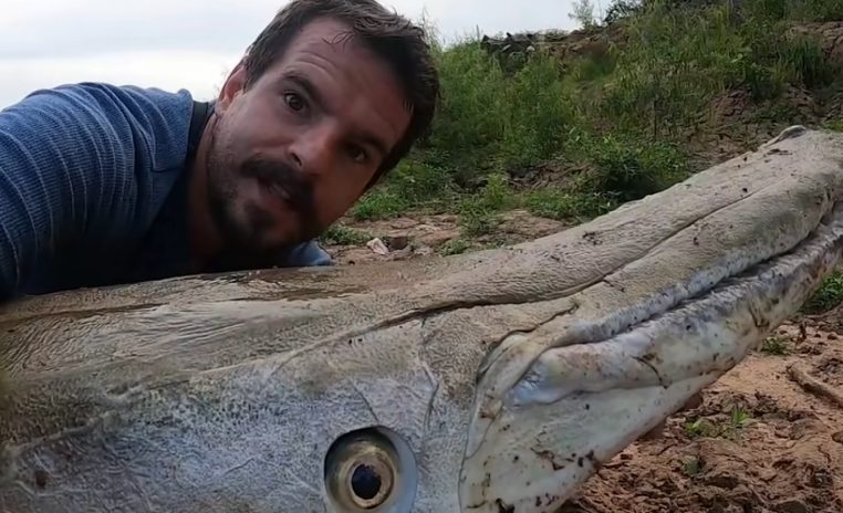 Un trentenaire décroche un record avec cette prise de pêche d'un poisson préhistorique de plus de 130 kg !