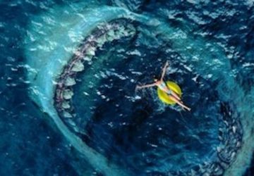requin