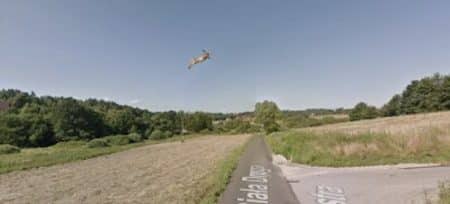 lapin volant