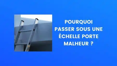 le saviez vous échelle