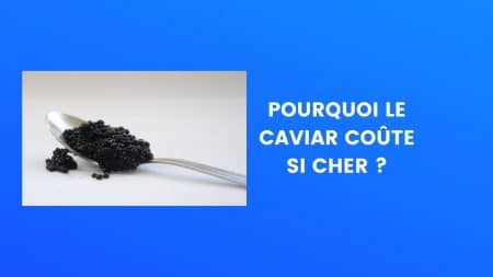 caviar