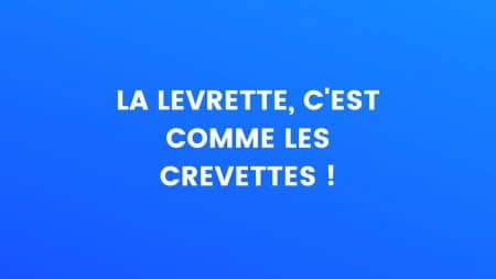 Levrette blague