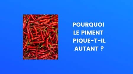 Le saviez-vous sur le piment