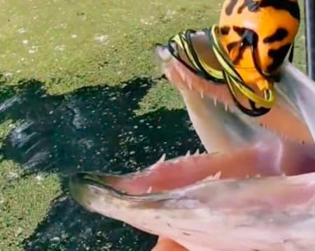 Poisson
