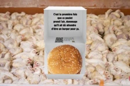 association l214 burger king poulet elevage burger verite
