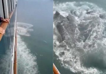 iceberg