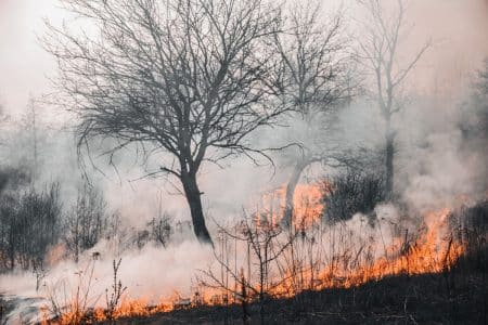 parc-puy-du-fou-espagne-evacuation-incendie