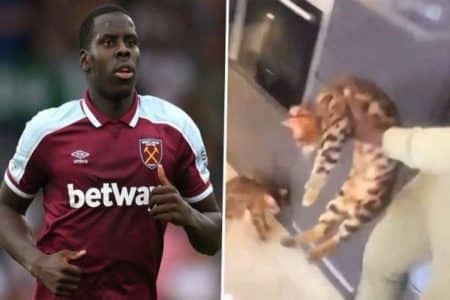zouma footballeur maltraitance animale chat sanction condamnation
