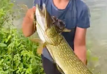 Poisson