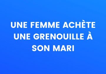 blague grenouille