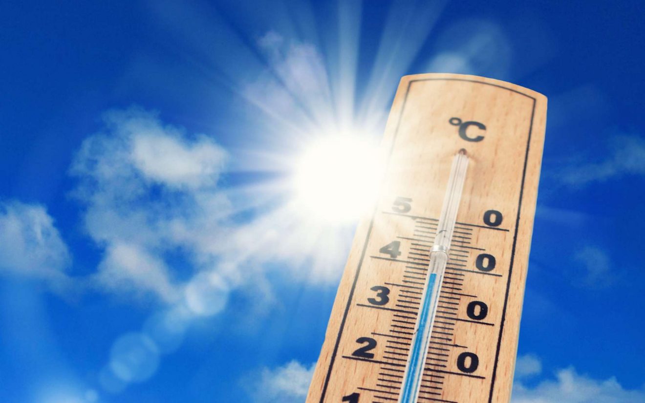 canicule
