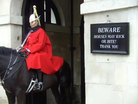 garde royal