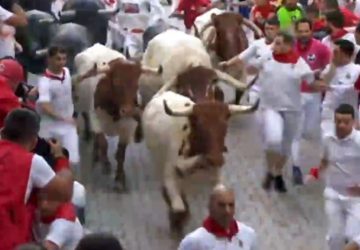 lâcher taureaux video