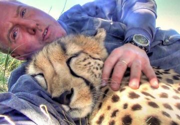 photographe animalier