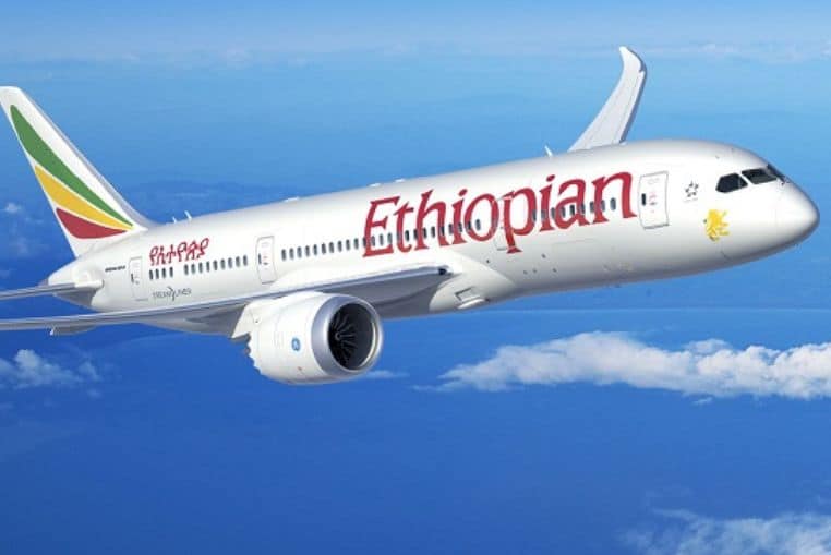 Ethiopian Airlines accident pilotes endormis