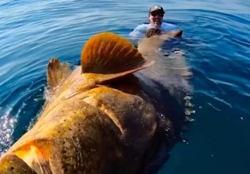 Pecheur poisson