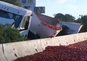 Tomates camion
