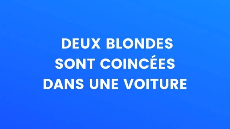 Blague du jour : Il devine si une mouche est une femelle ou un mâle...