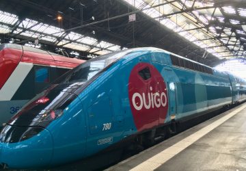 ouigo cafards hygiene douteuse (2)