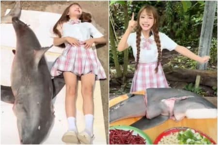 requin
