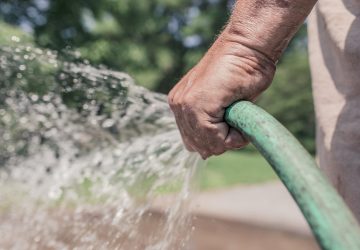 cultiver sans eau