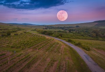 Astrologie la nouvelle lune en Balance va vous permettre de retrouver votre équilibre