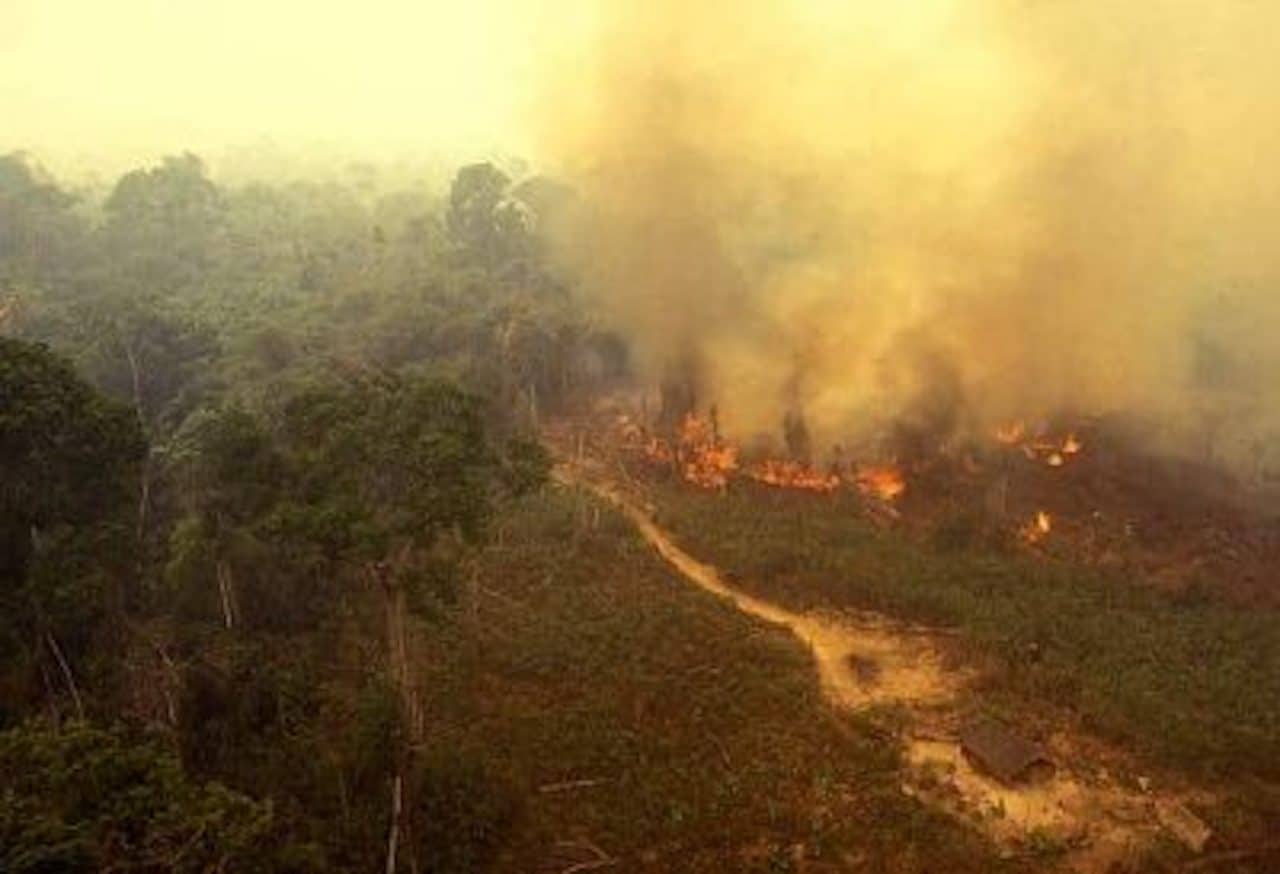 amazonie