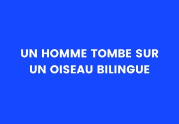 blague oiseau