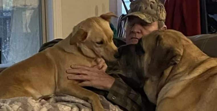 Ce papa fait la sieste avec les chiens des voisins !