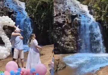 gender reveal catastrophe ecologique