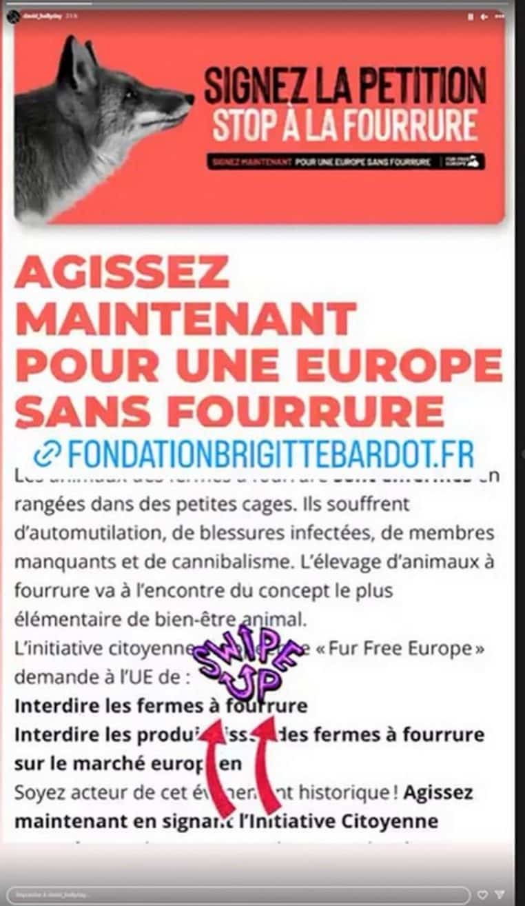 david hallyday petition animaux