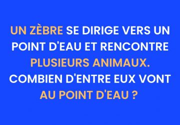 enigme
