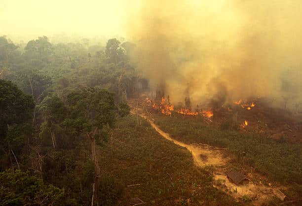 Incendie en Amazonie